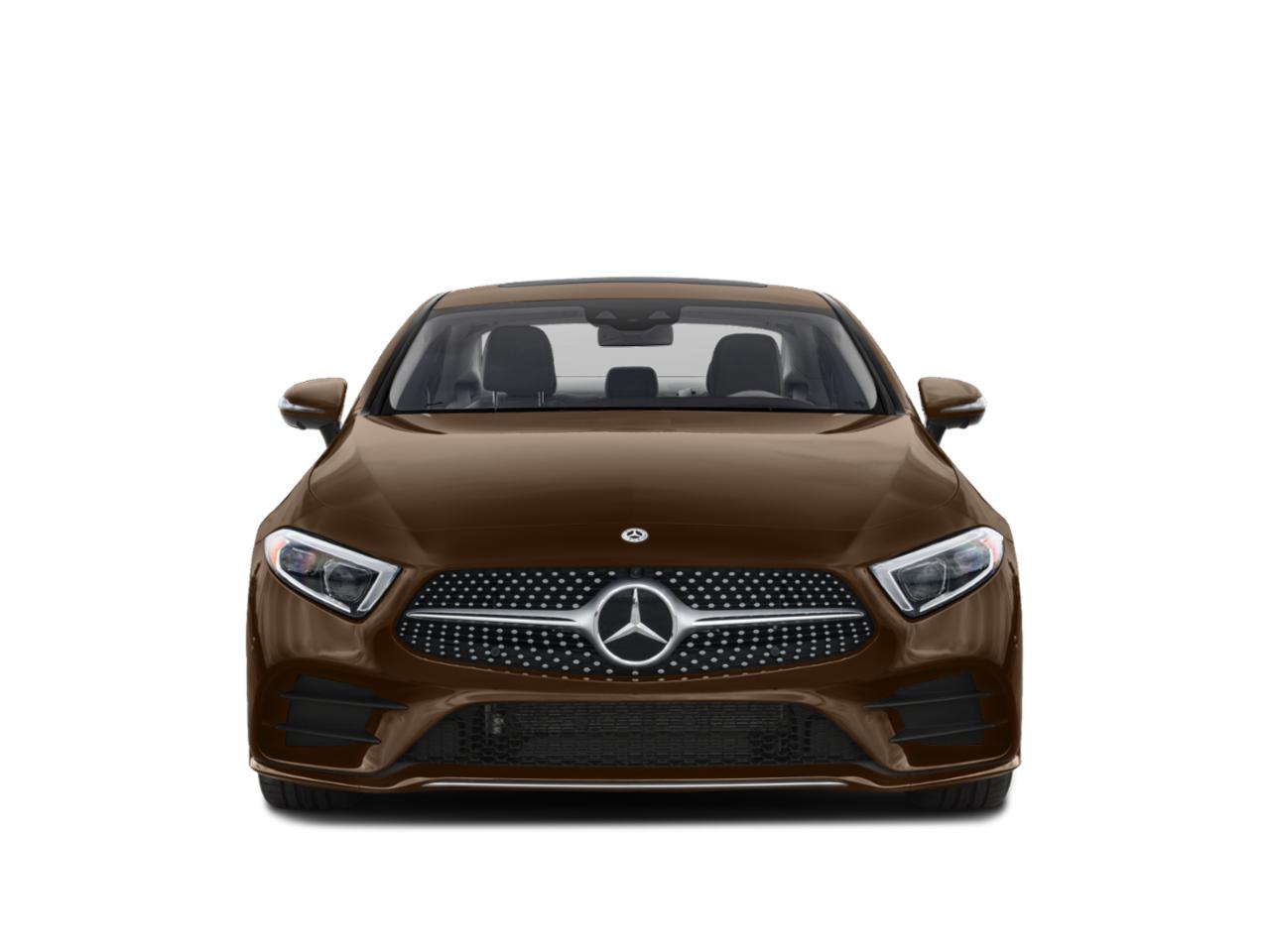 2019 Mercedes-Benz CLS Vehicle Photo in St. Petersburg, FL 33713