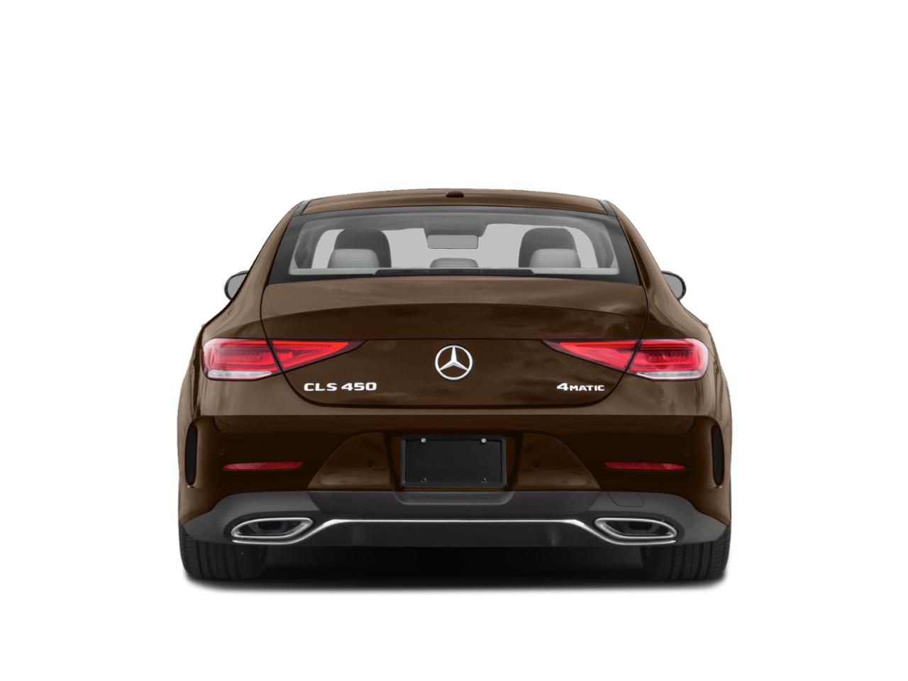 2019 Mercedes-Benz CLS Vehicle Photo in St. Petersburg, FL 33713