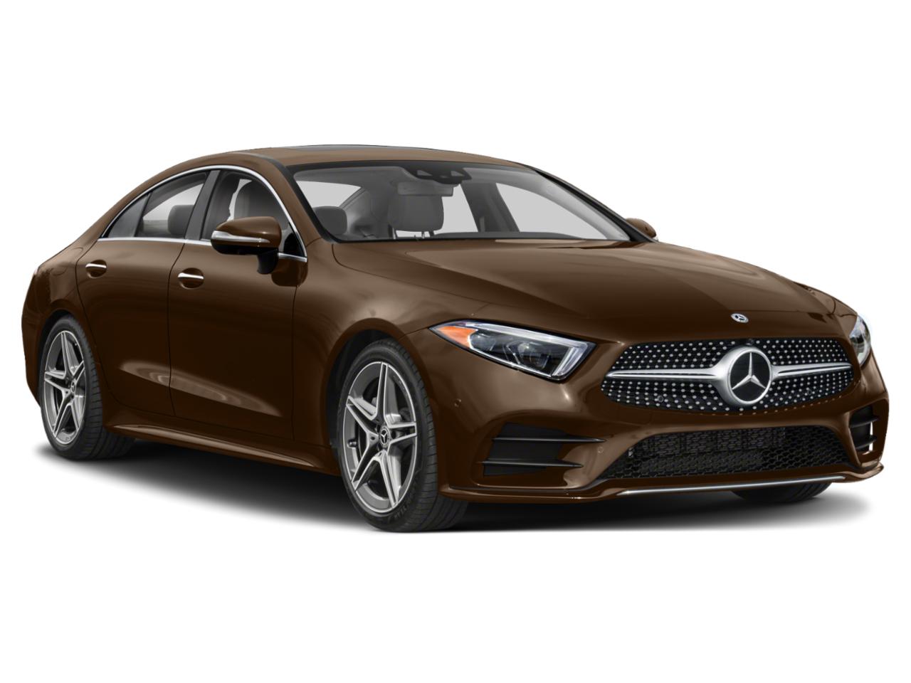 2019 Mercedes-Benz CLS Vehicle Photo in St. Petersburg, FL 33713