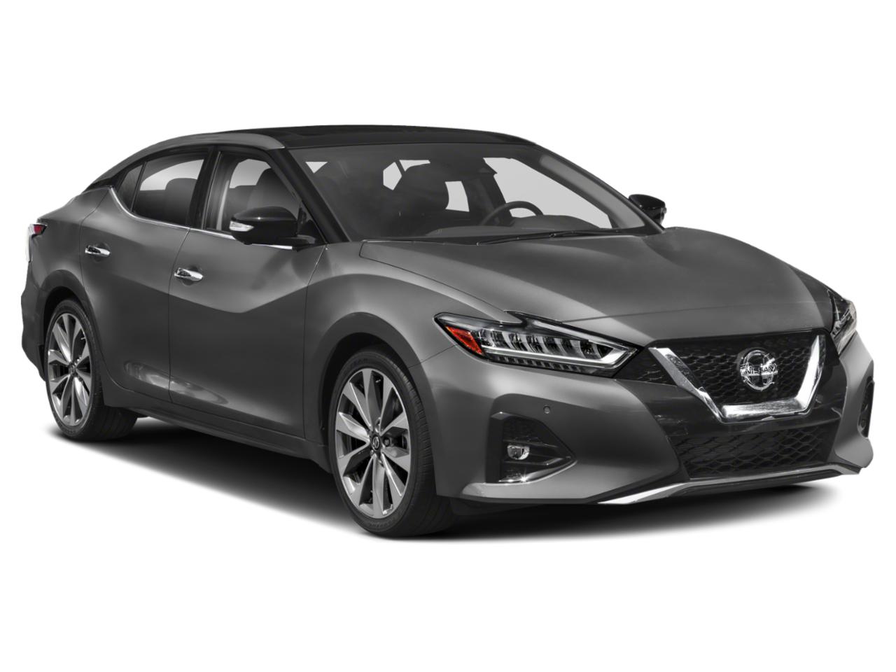 2019 Nissan Maxima Vehicle Photo in Hinesville, GA 31313