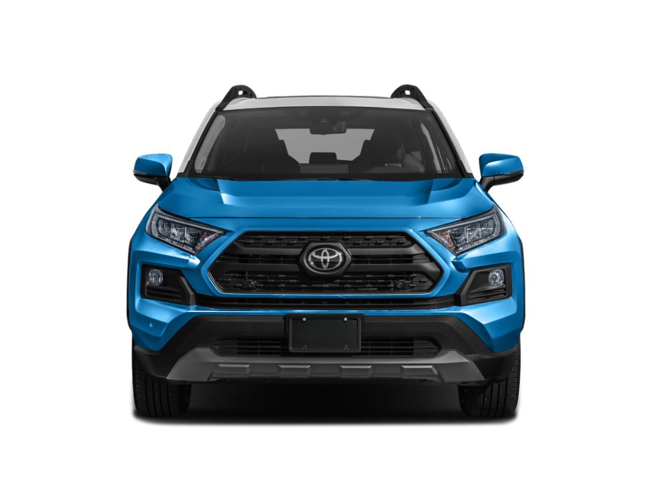 2019 Toyota RAV4 Vehicle Photo in Pleasant Hills, PA 15236