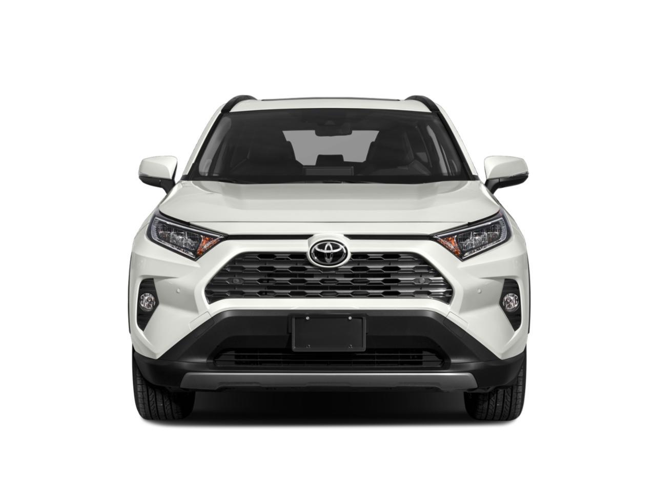 2019 Toyota RAV4 Vehicle Photo in Winter Park, FL 32792