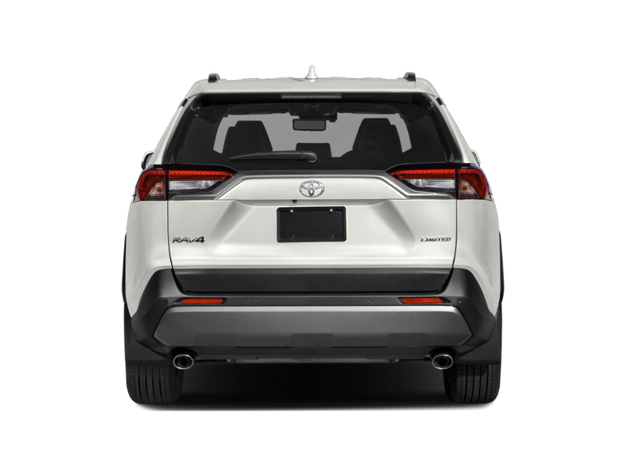 2019 Toyota RAV4 Vehicle Photo in Winter Park, FL 32792