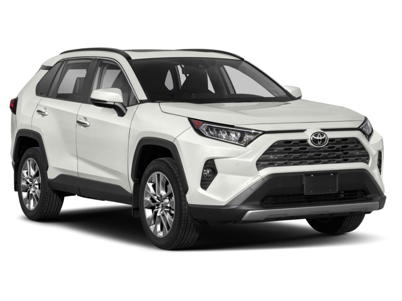 2019 Toyota RAV4 Vehicle Photo in Winter Park, FL 32792