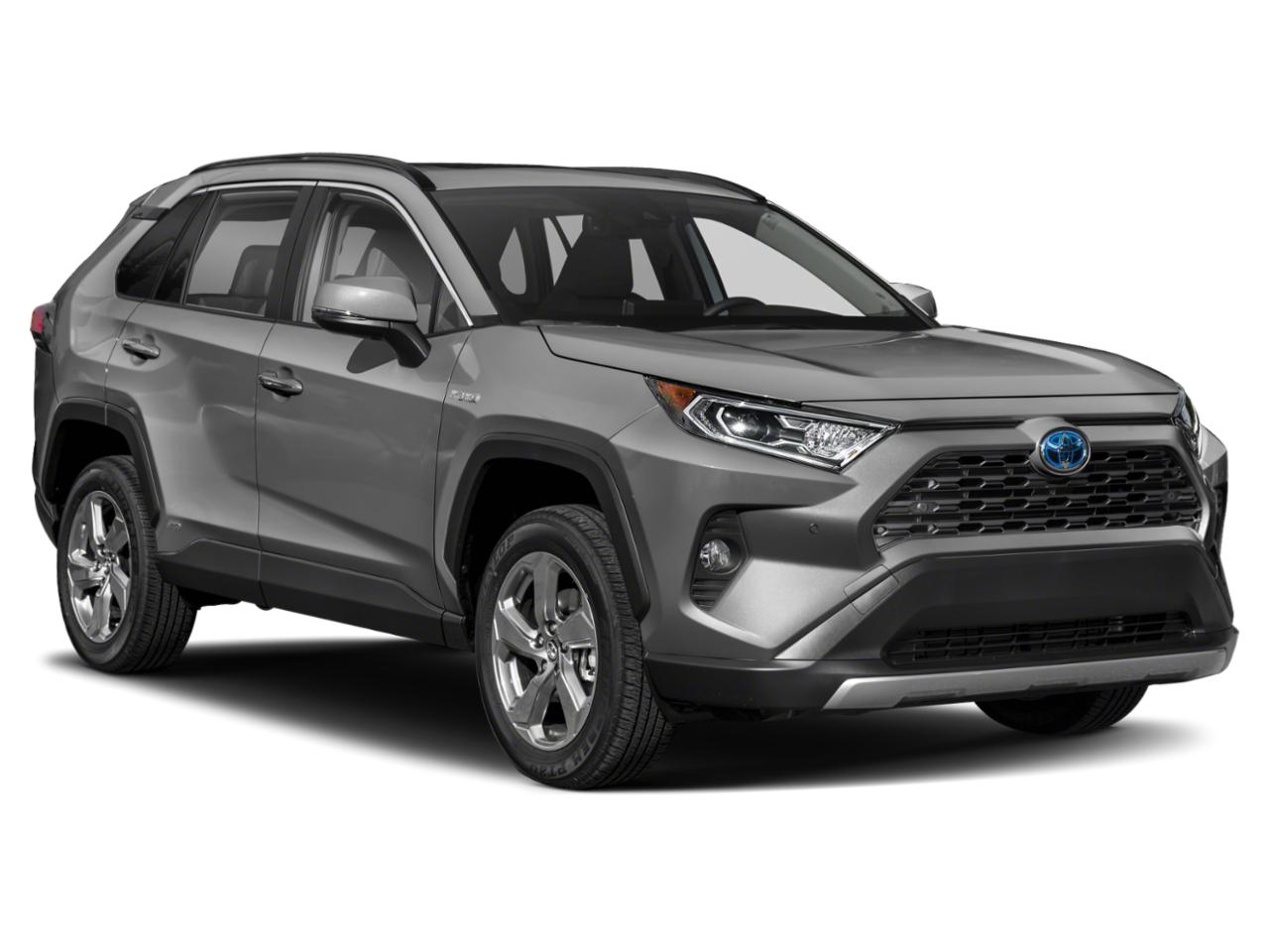 2019 Toyota RAV4 Vehicle Photo in Pinellas Park , FL 33781