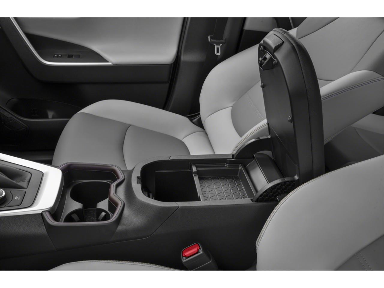 2019 Toyota RAV4 Vehicle Photo in Pinellas Park , FL 33781