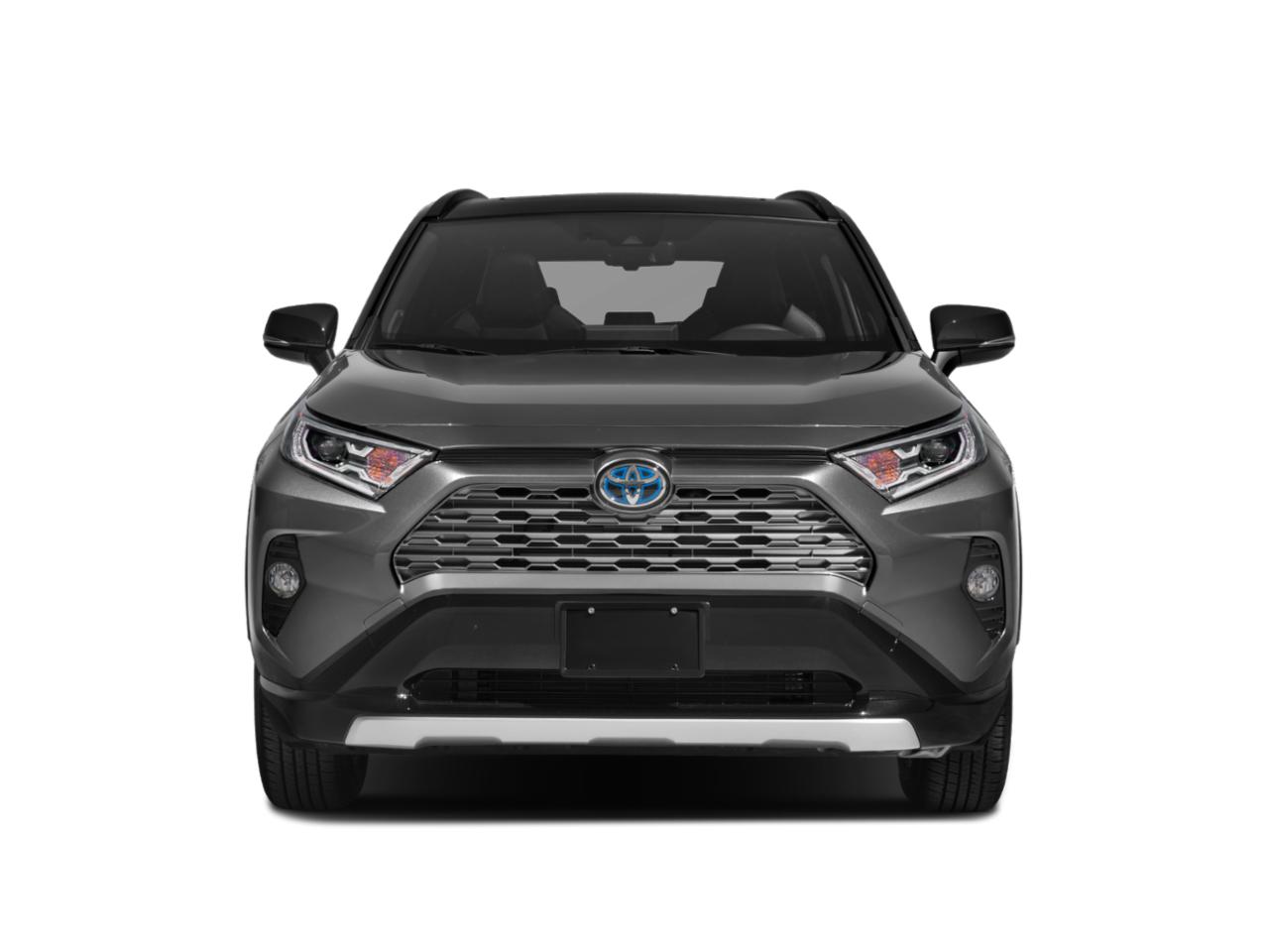 2019 Toyota RAV4 Vehicle Photo in Pinellas Park , FL 33781