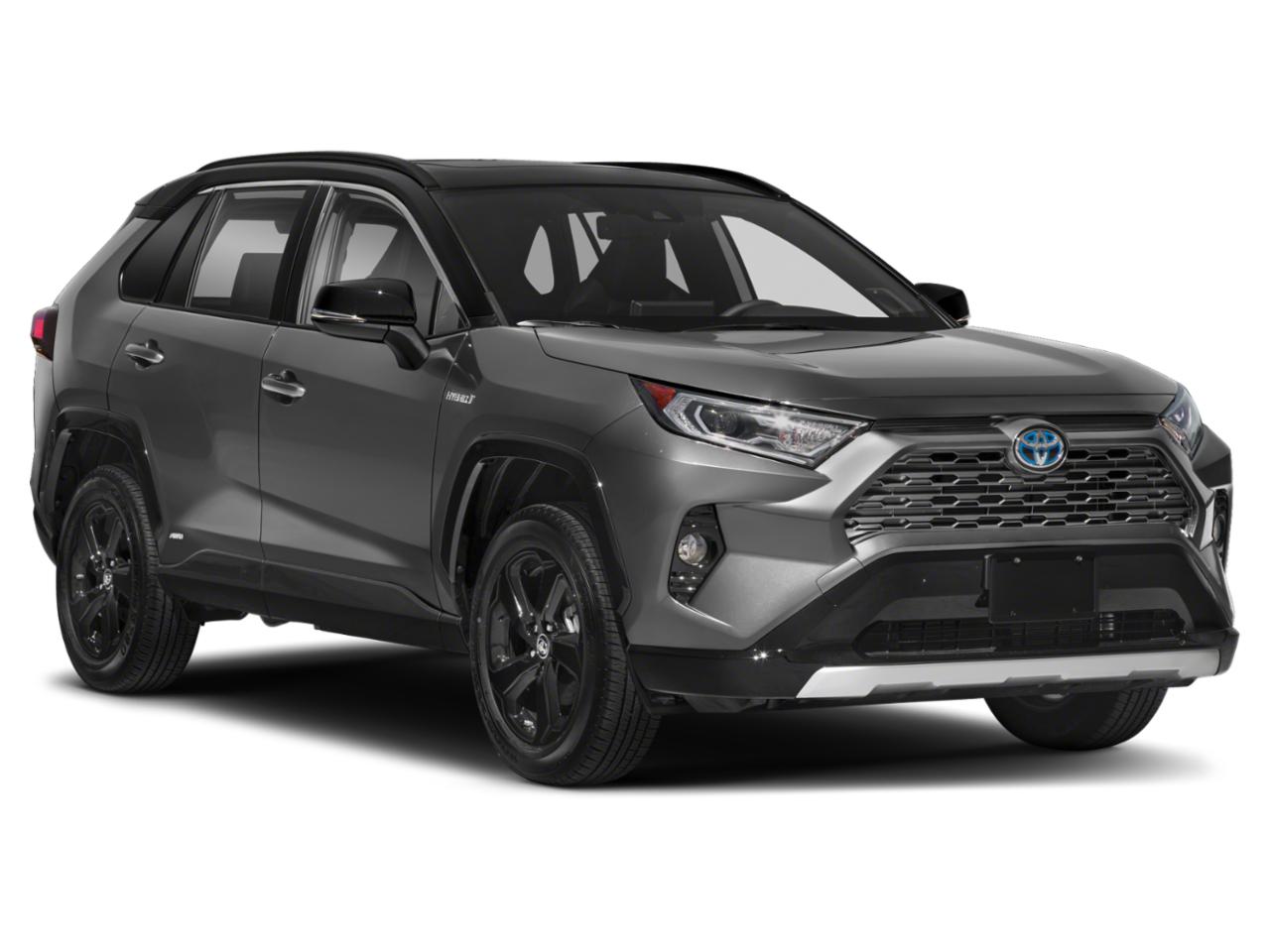 2019 Toyota RAV4 Vehicle Photo in Pinellas Park , FL 33781