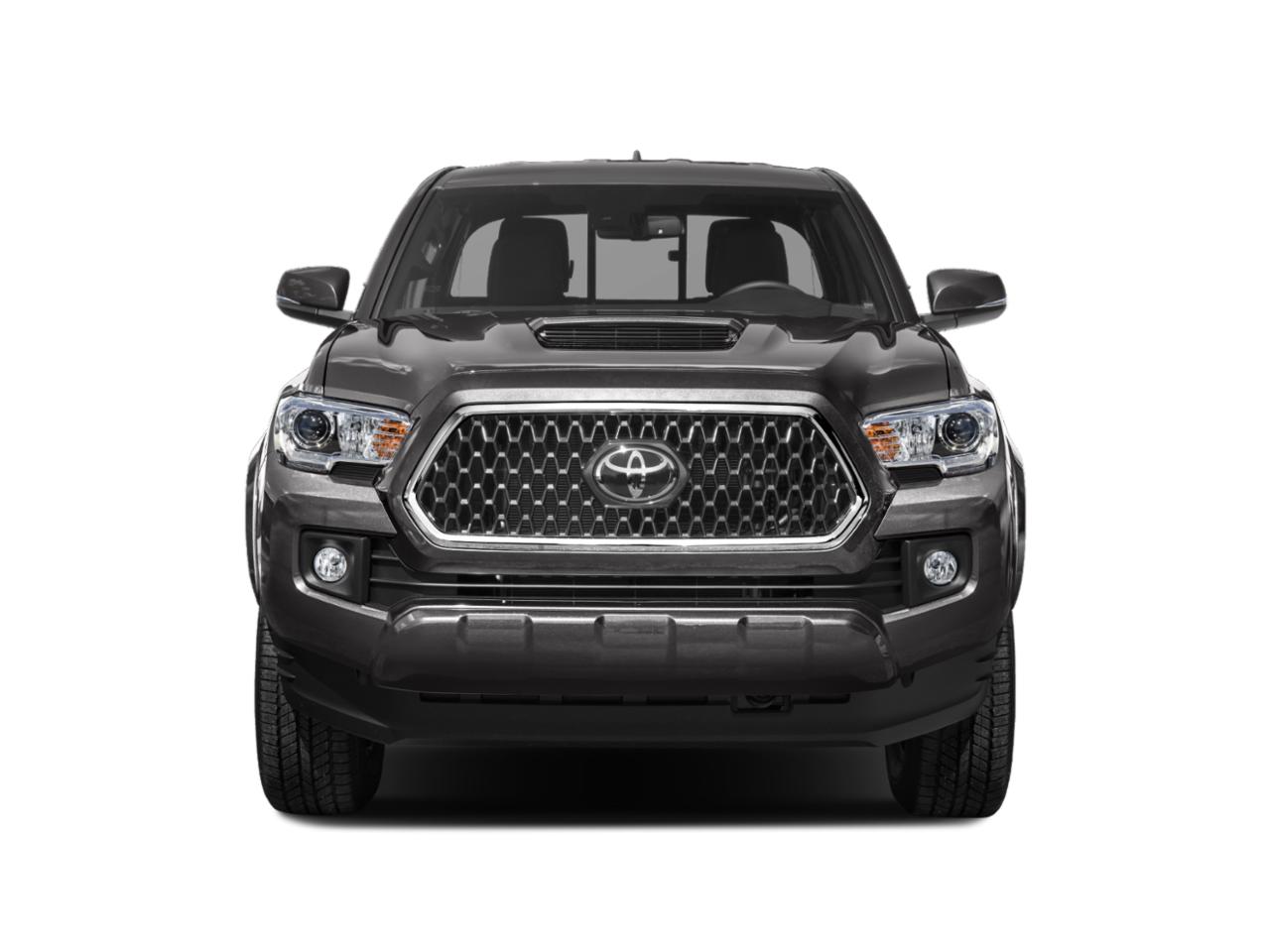 2019 Toyota Tacoma 2WD Vehicle Photo in Clearwater, FL 33761