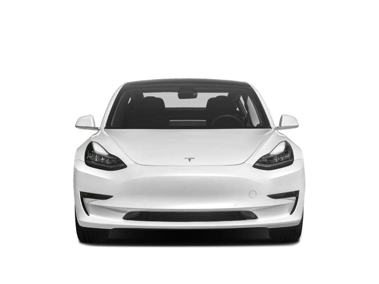 2019 Tesla Model 3 Vehicle Photo in CLEARWATER, FL 33764-7163