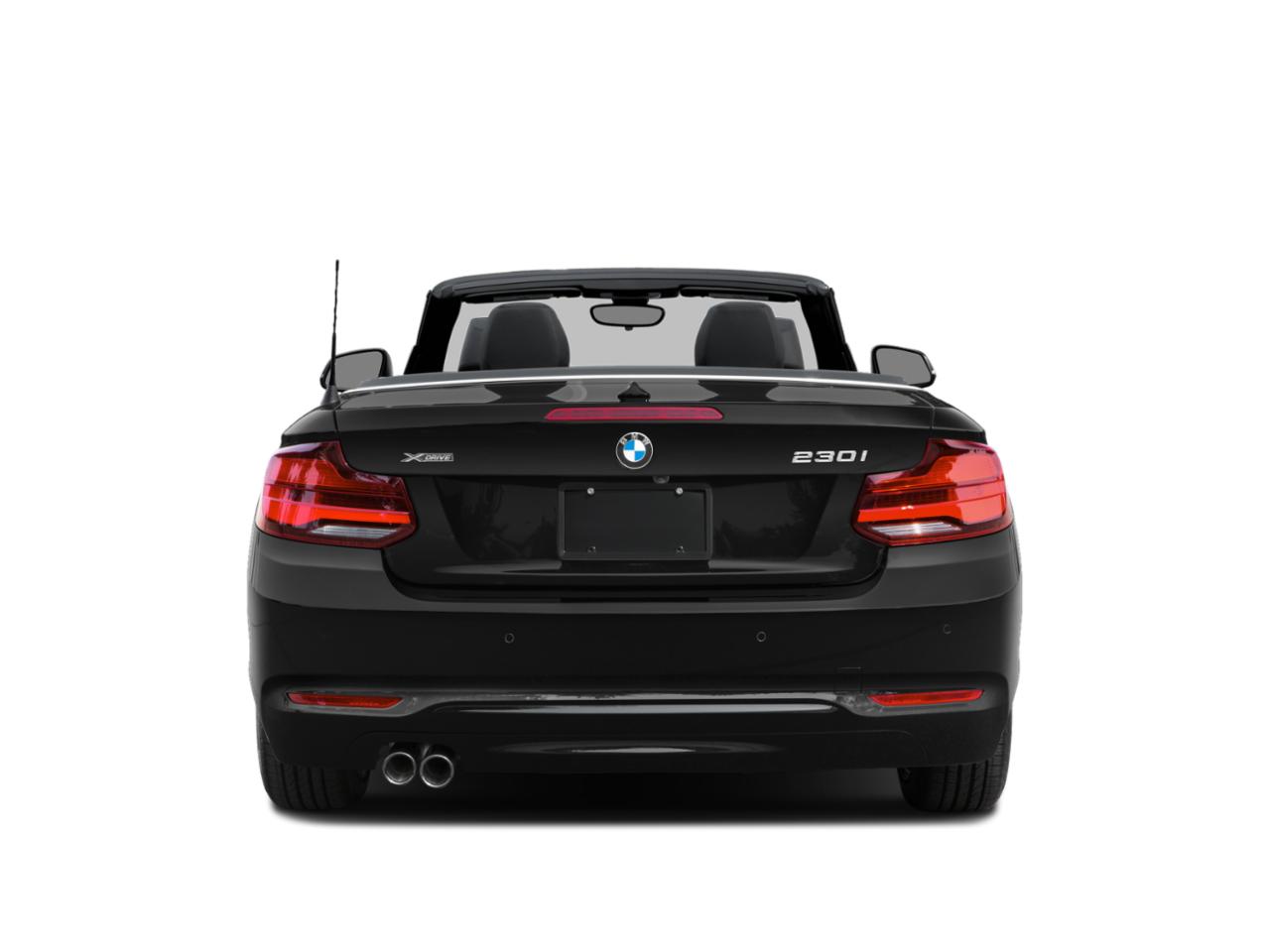 2020 BMW 230i Vehicle Photo in Wesley Chapel, FL 33544