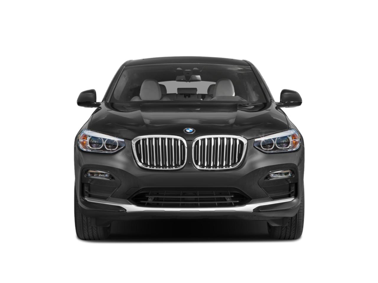 2020 BMW X4 xDrive30i Vehicle Photo in Wesley Chapel, FL 33544