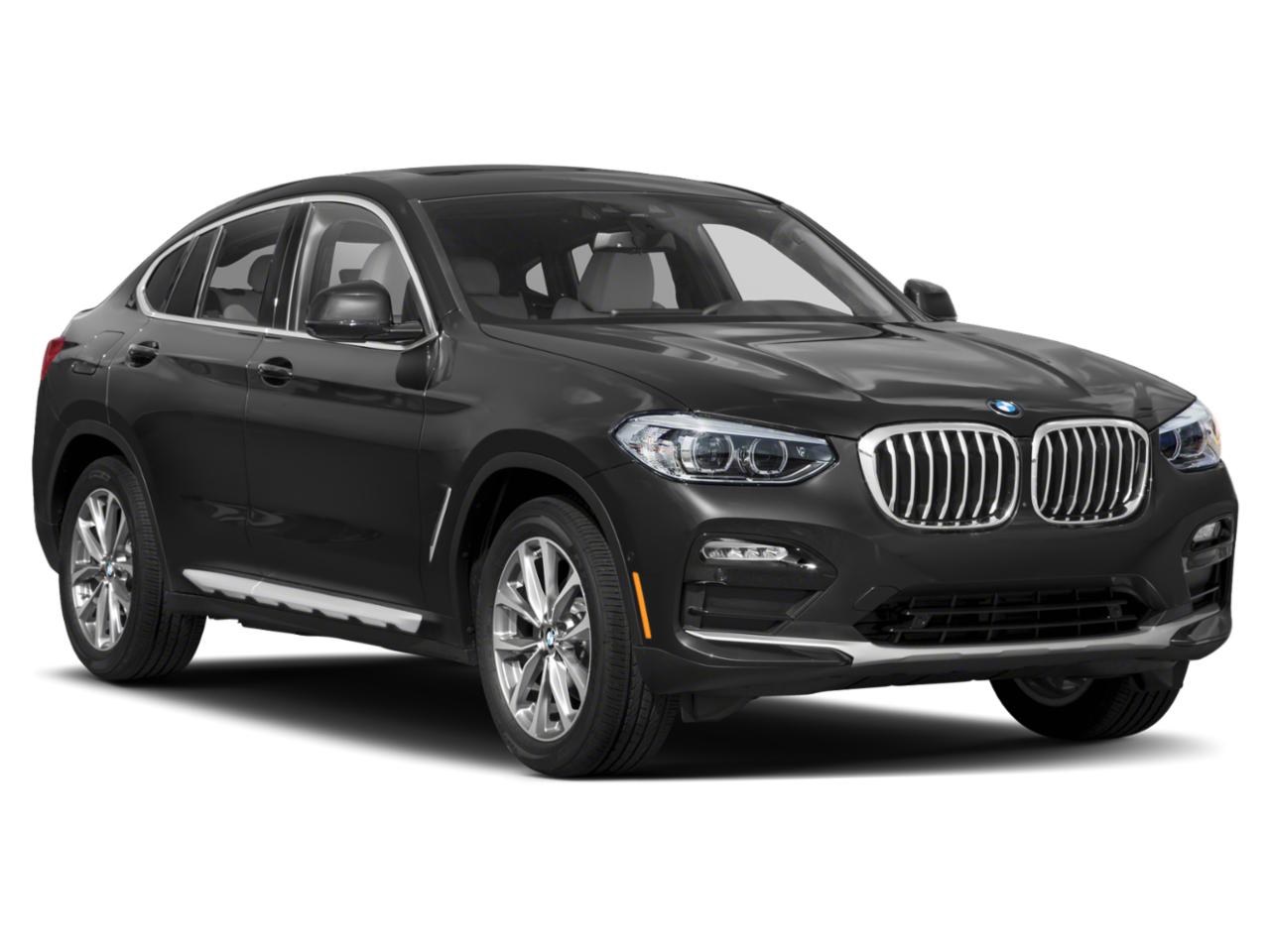 2020 BMW X4 xDrive30i Vehicle Photo in Wesley Chapel, FL 33544