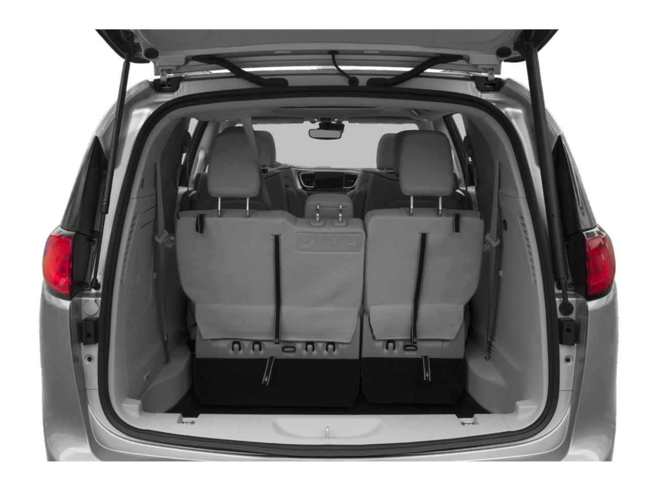 2020 Chrysler Pacifica Vehicle Photo in Doylsetown, PA 18901