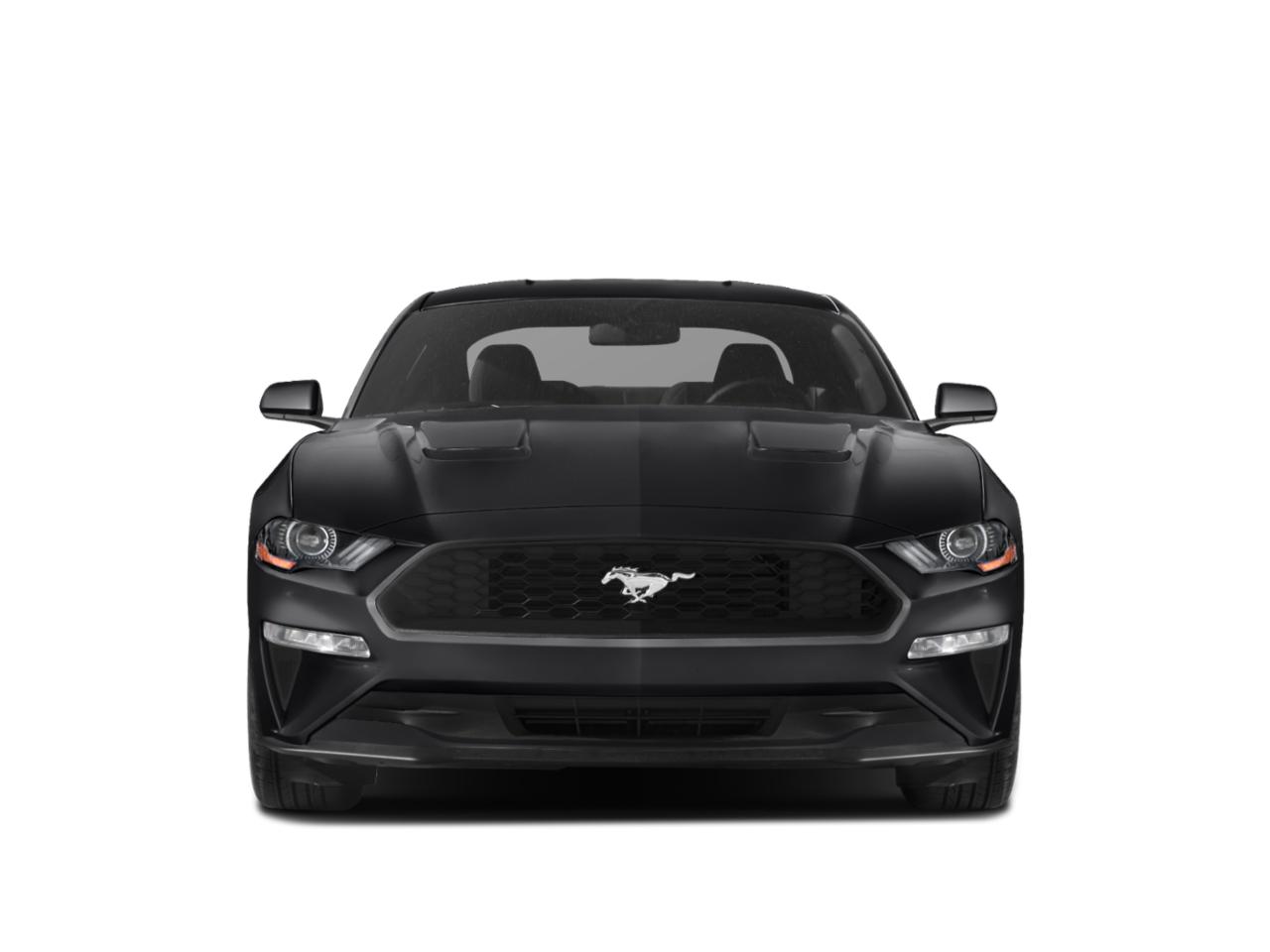 2020 Ford Mustang Vehicle Photo in Bradenton, FL 34207