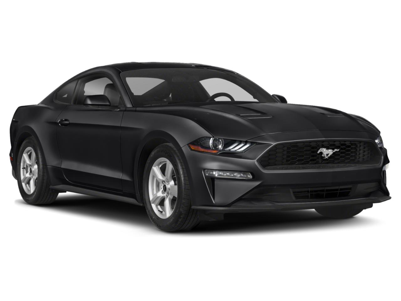 2020 Ford Mustang Vehicle Photo in Bradenton, FL 34207