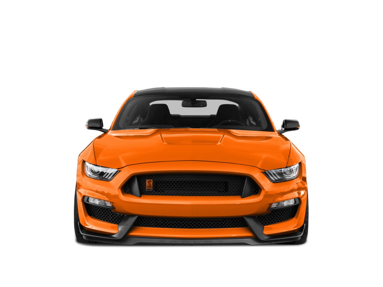 2020 Ford Mustang Vehicle Photo in Jacksonville, FL 32244