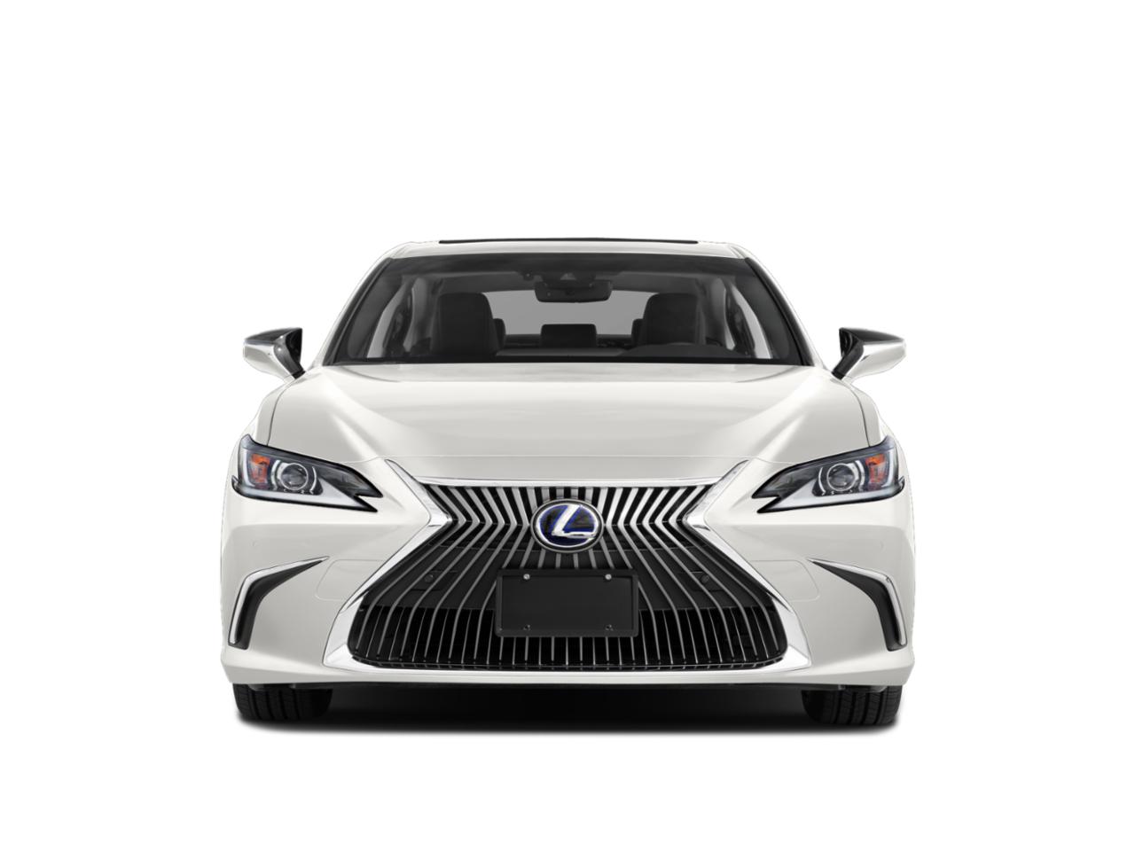 2020 Lexus ES 300h Vehicle Photo in Clearwater, FL 33761