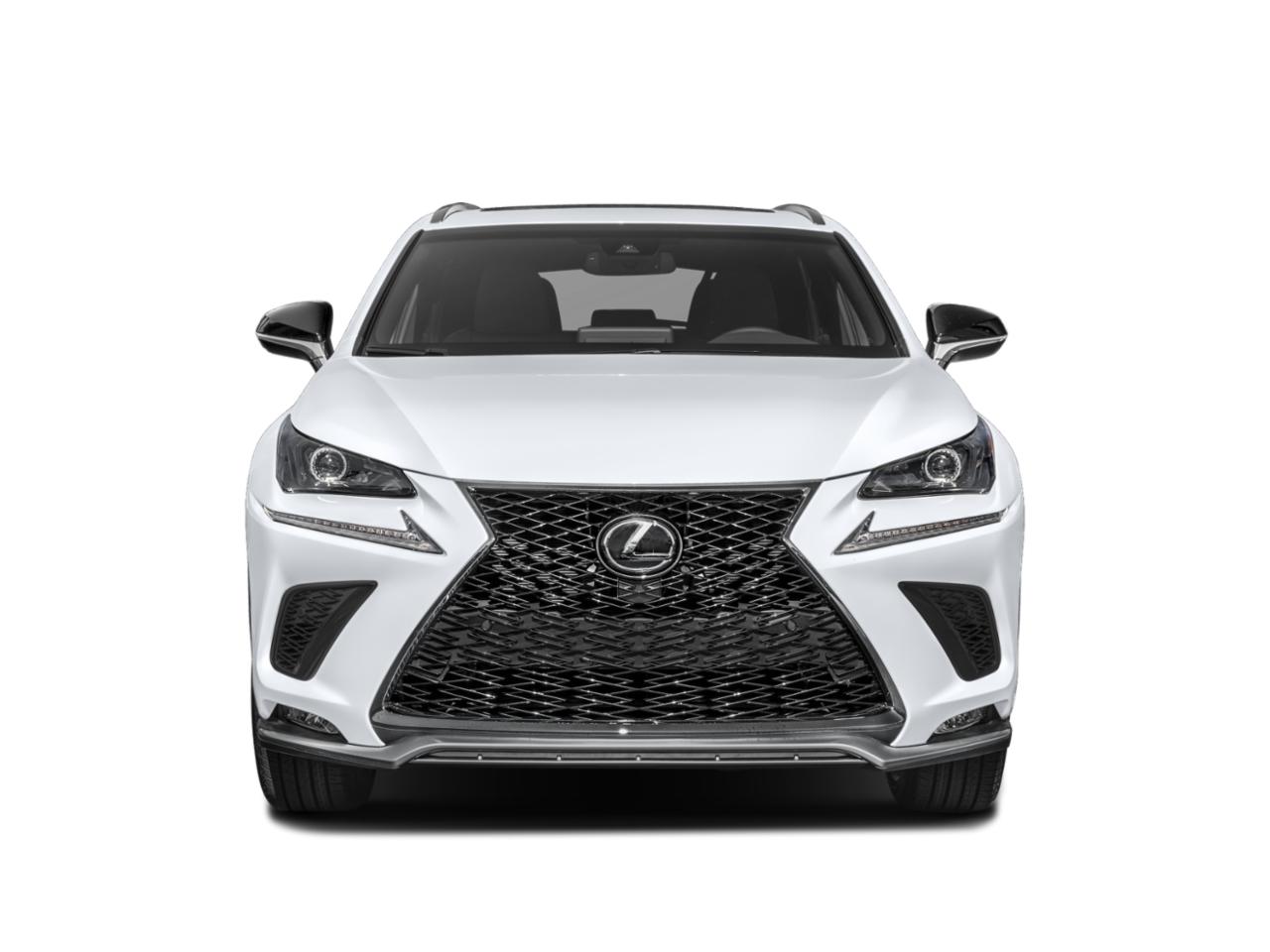 2020 Lexus NX 300 Vehicle Photo in San Antonio, TX 78230