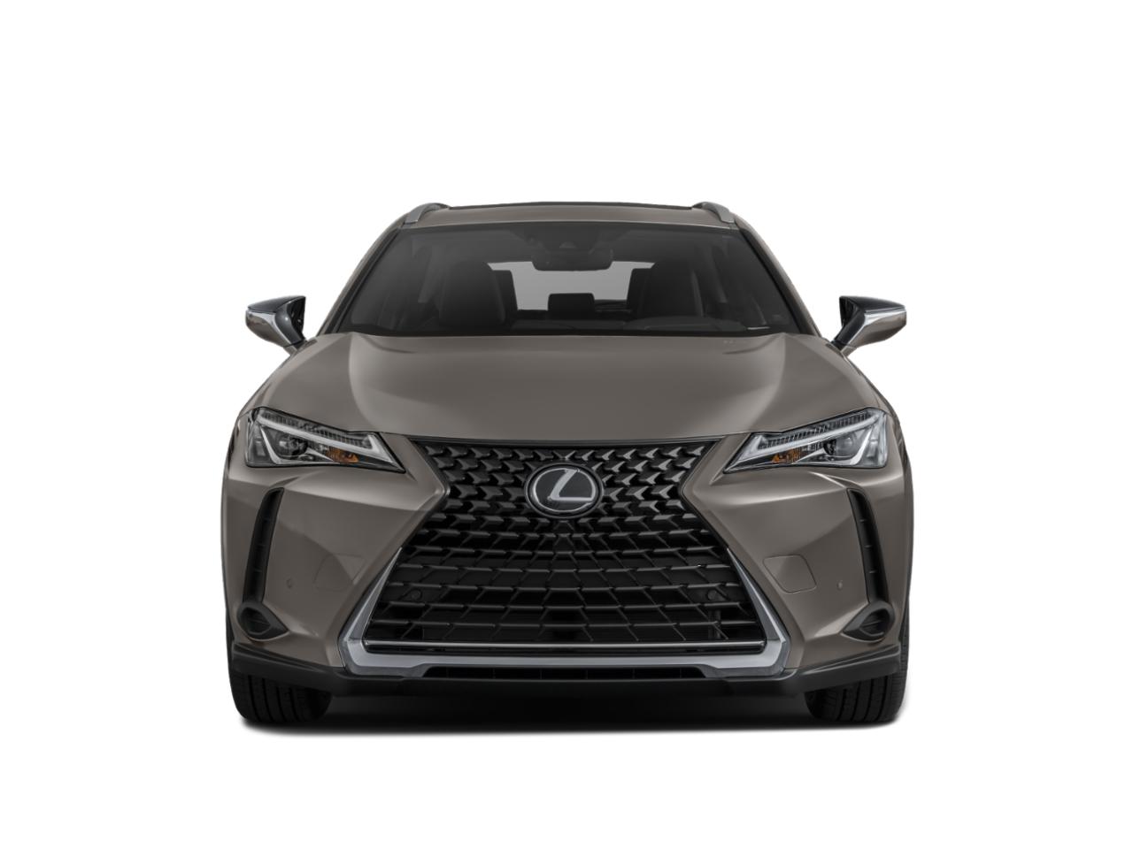 2020 Lexus UX 200 Vehicle Photo in Sanford, FL 32771