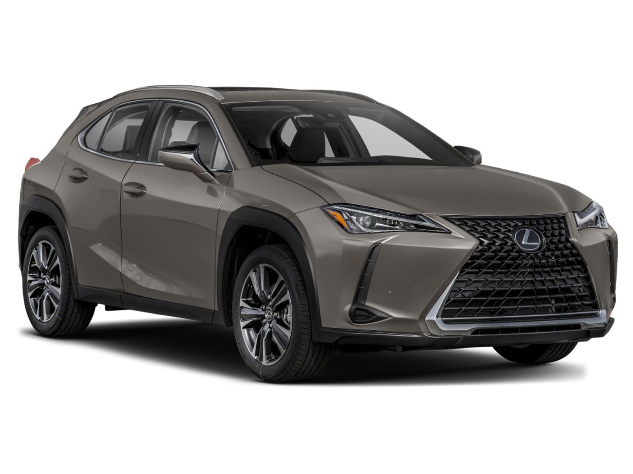 2020 Lexus UX 200 Vehicle Photo in Sanford, FL 32771