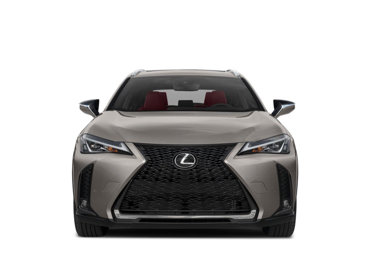 2020 Lexus UX 200 Vehicle Photo in West Palm Beach, FL 33417