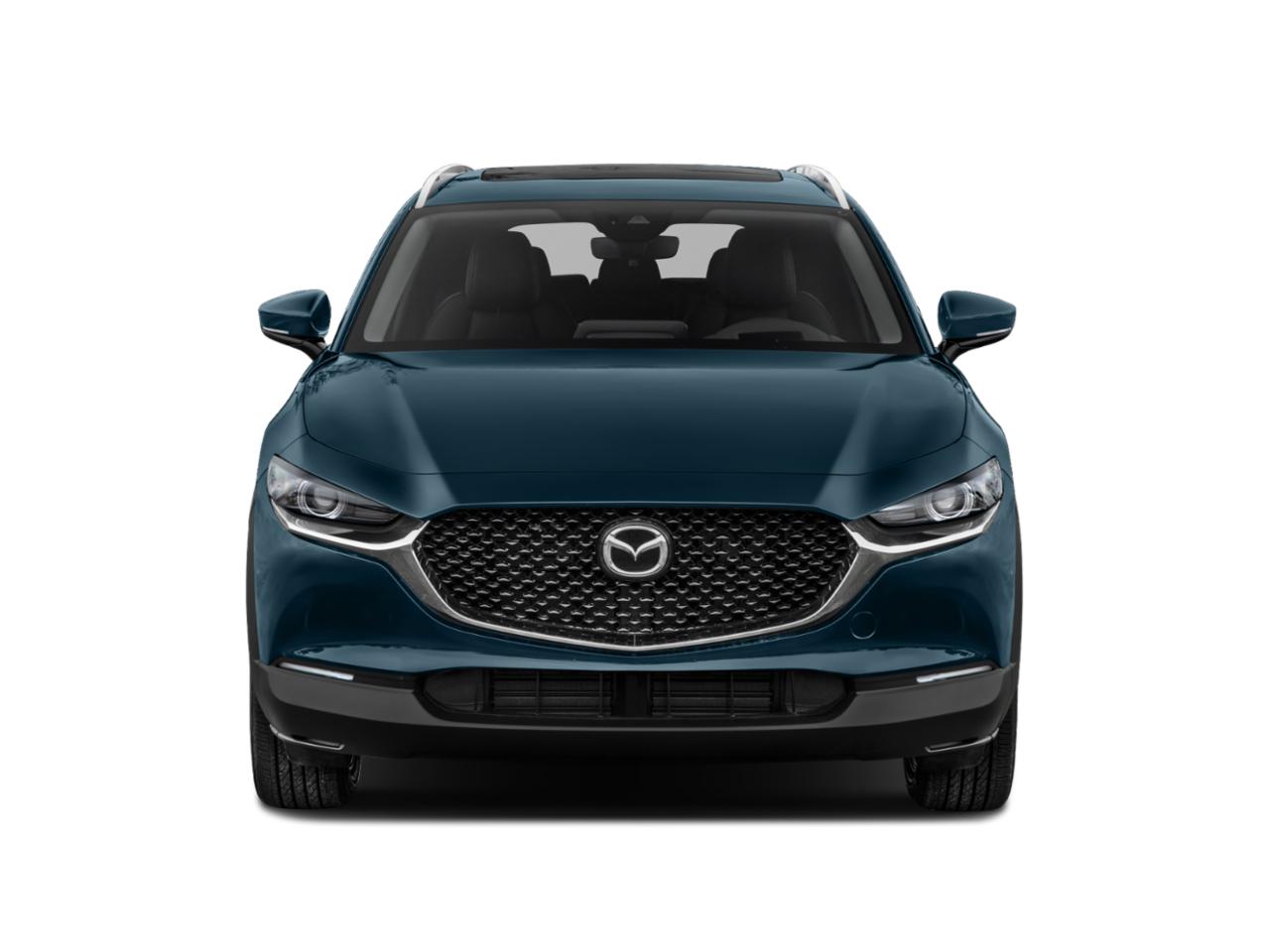 2020 Mazda CX-30 Vehicle Photo in Green Bay, WI 54304