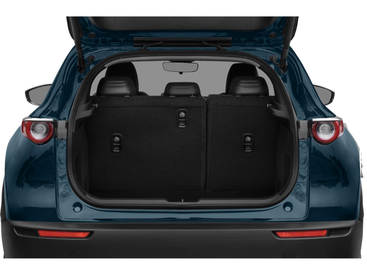 2020 Mazda CX-30 Vehicle Photo in Green Bay, WI 54304