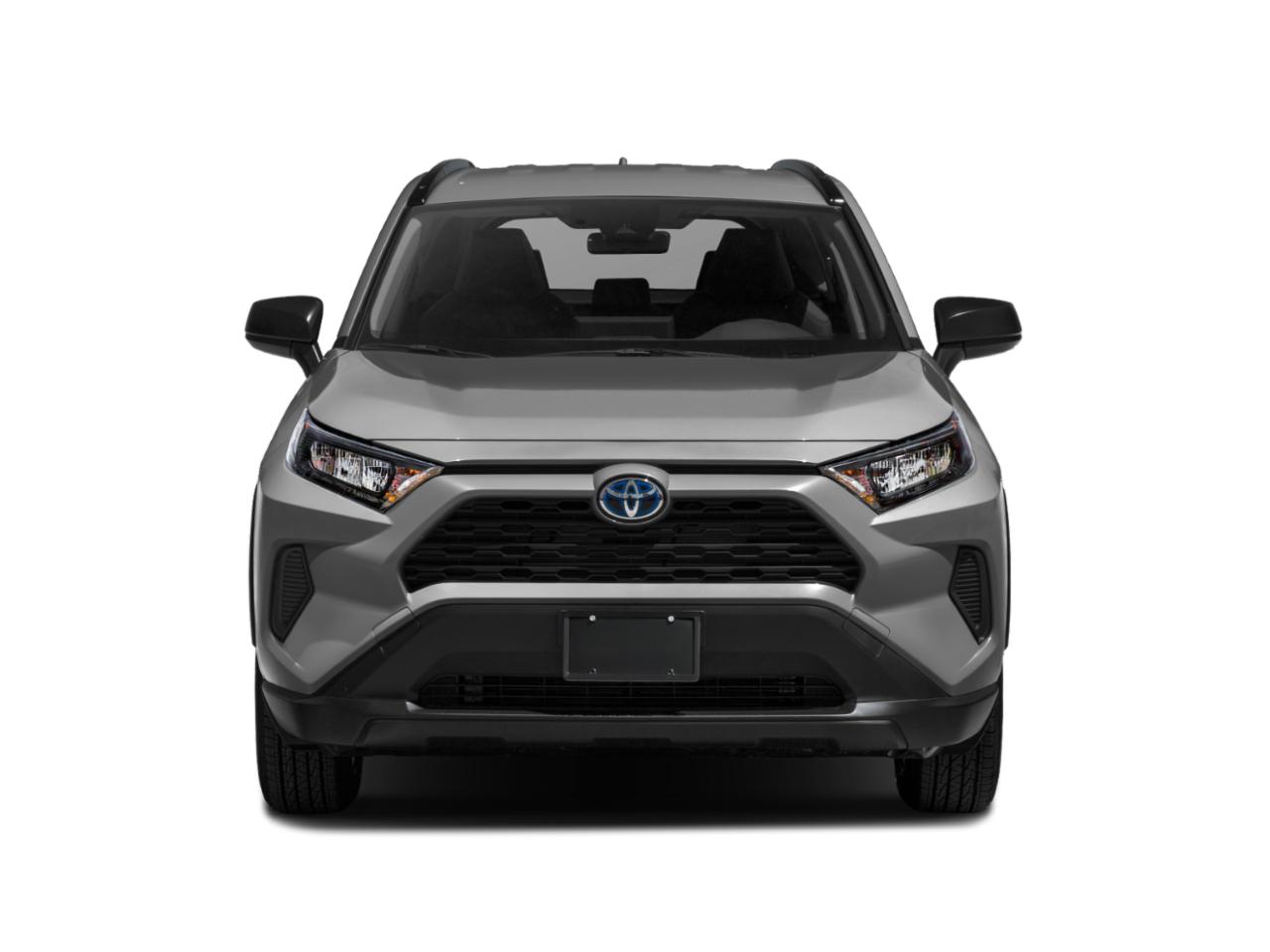 2020 Toyota RAV4 Vehicle Photo in Decatur, TX 76234