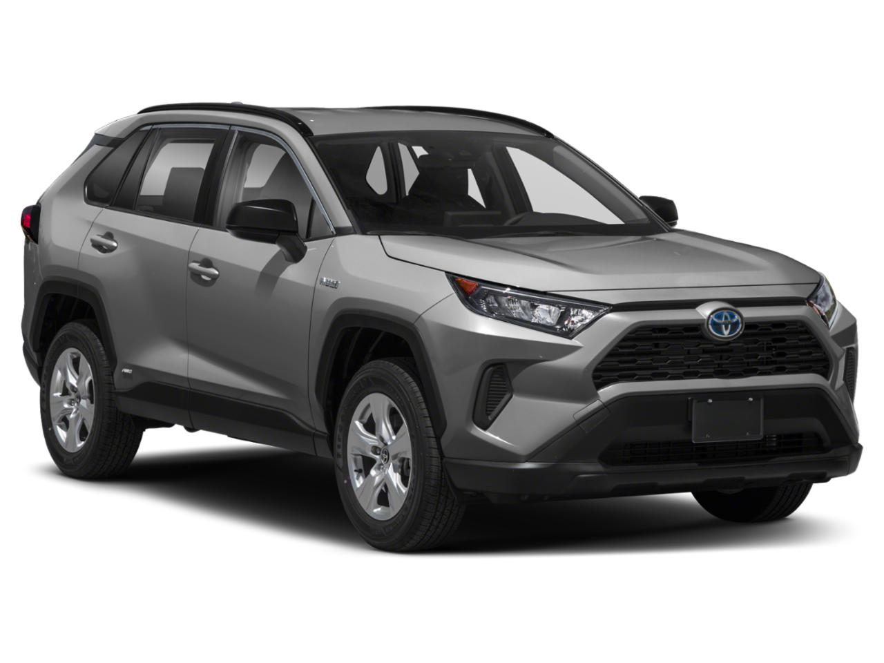 2020 Toyota RAV4 Vehicle Photo in Decatur, TX 76234