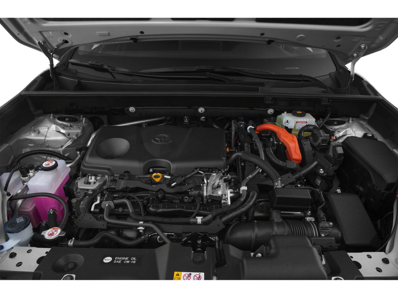 2020 Toyota RAV4 Vehicle Photo in Decatur, TX 76234