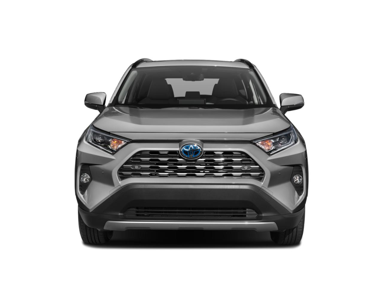 2020 Toyota RAV4 Vehicle Photo in Clearwater, FL 33761