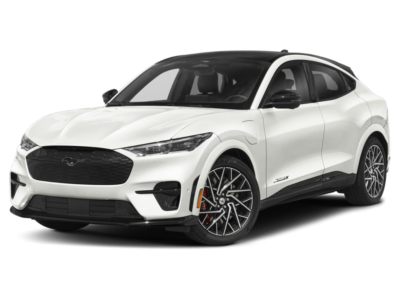2021 Ford Mustang Mach-E Vehicle Photo in San Antonio, TX 78230