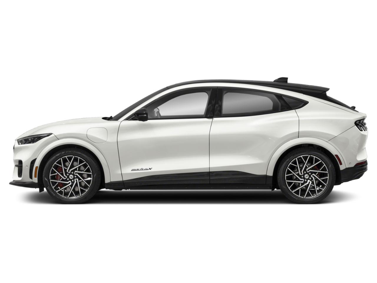 2021 Ford Mustang Mach-E Vehicle Photo in San Antonio, TX 78230