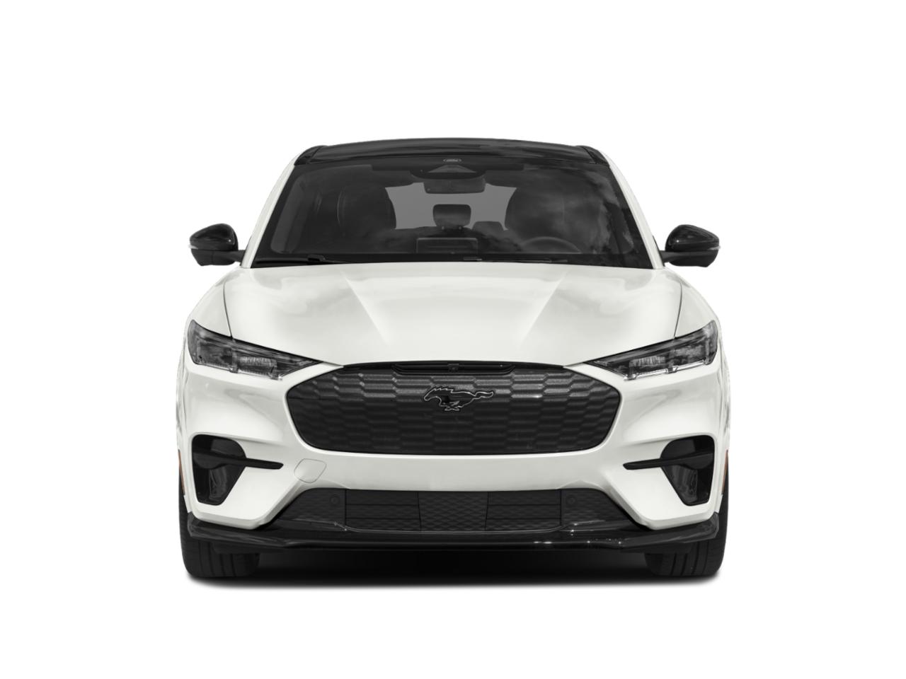 2021 Ford Mustang Mach-E Vehicle Photo in San Antonio, TX 78230