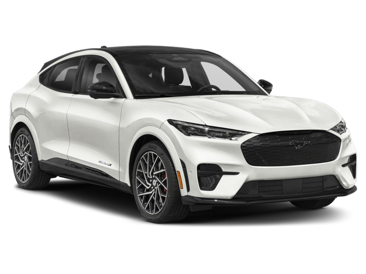 2021 Ford Mustang Mach-E Vehicle Photo in San Antonio, TX 78230