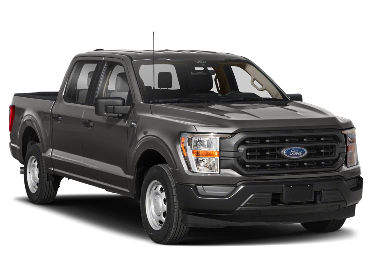 2021 Ford F-150 Vehicle Photo in San Antonio, TX 78230