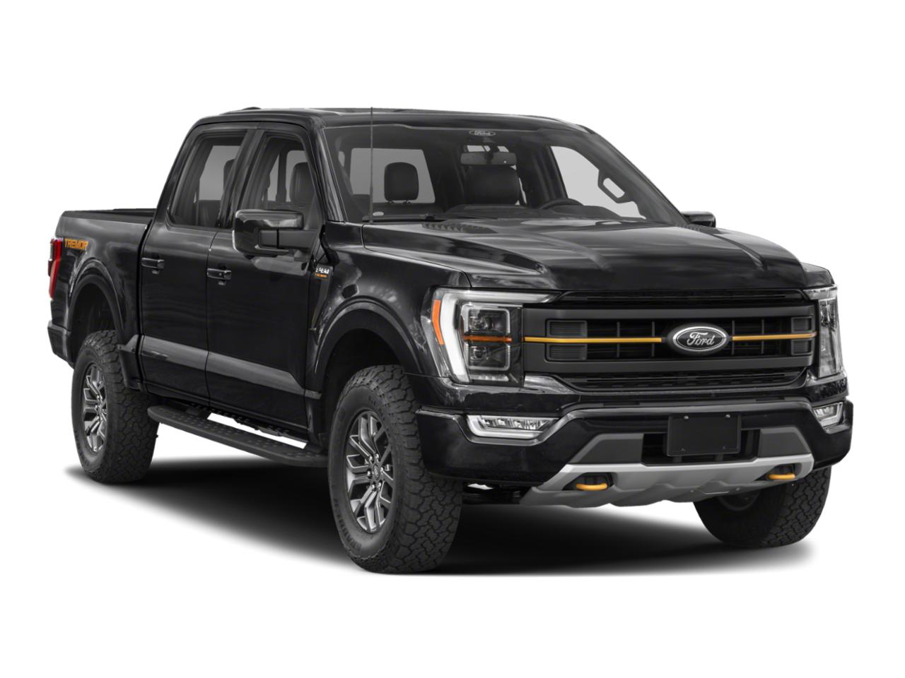 2021 Ford F-150 Vehicle Photo in Savannah, GA 31419