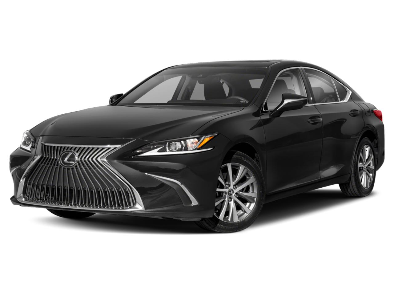 2021 Lexus ES 250 Vehicle Photo in Tampa, FL 33614