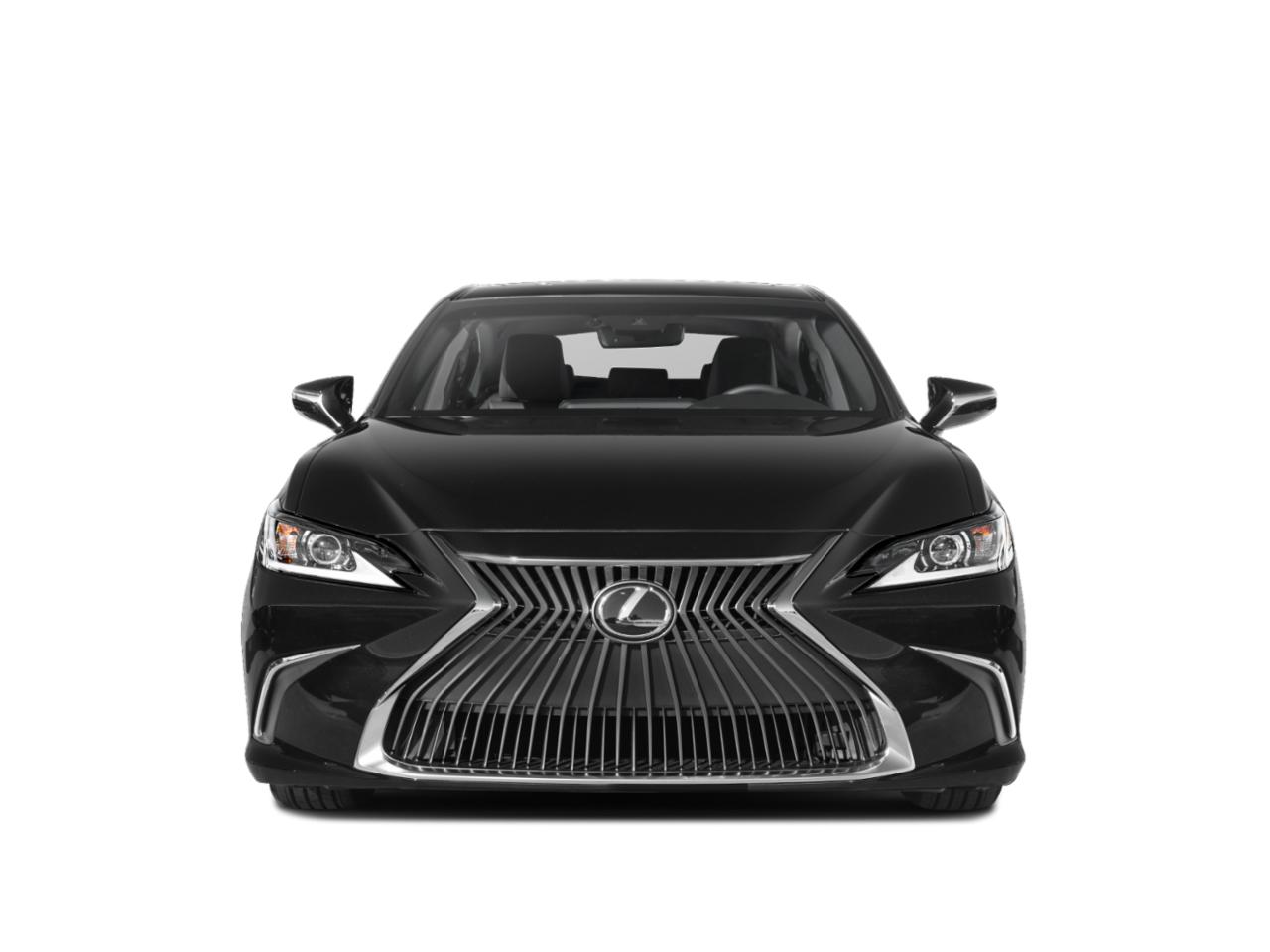 2021 Lexus ES 250 Vehicle Photo in Appleton, WI 54913