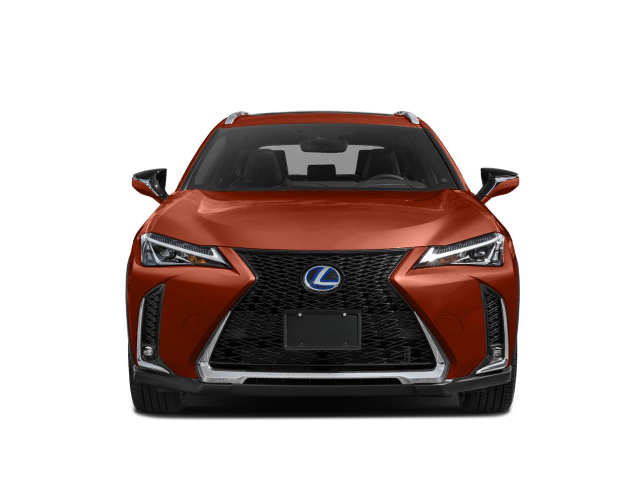 2021 Lexus UX 250h Vehicle Photo in West Palm Beach, FL 33417