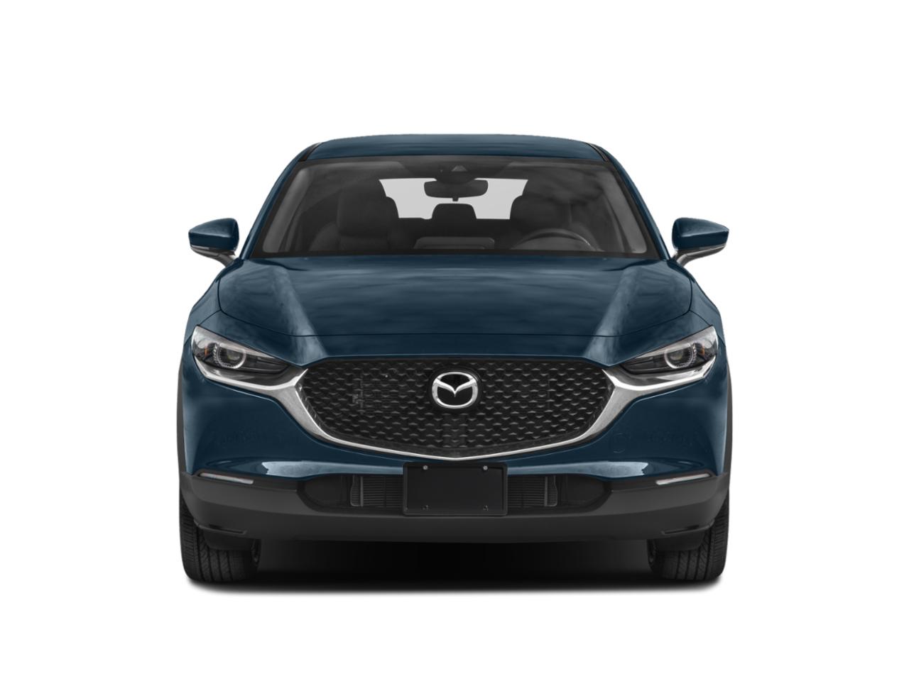 2021 Mazda CX-30 Vehicle Photo in St. Petersburg, FL 33713