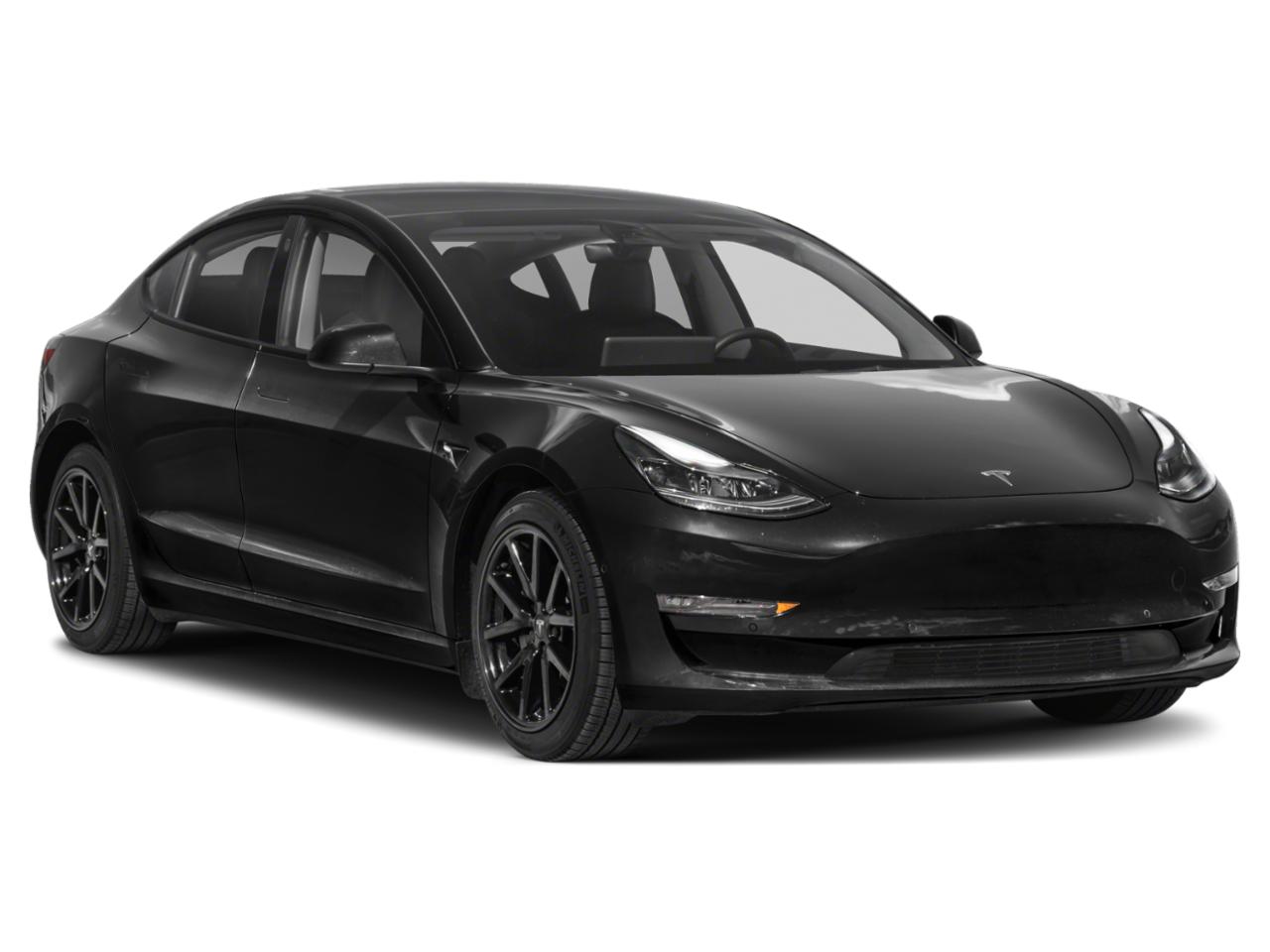 2021 Tesla Model 3 Vehicle Photo in SELMA, TX 78154-1460