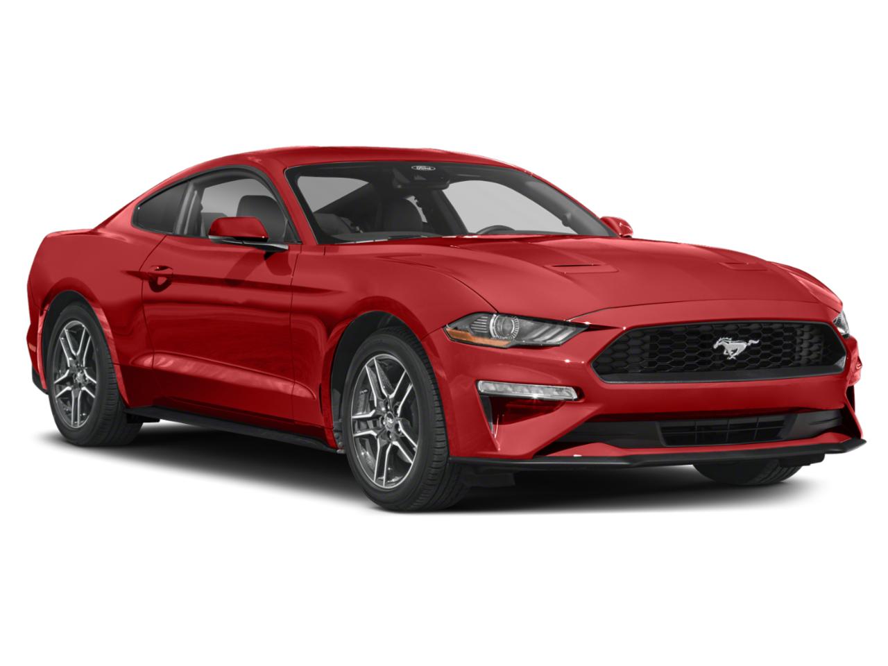 2022 Ford Mustang Vehicle Photo in Neenah, WI 54956