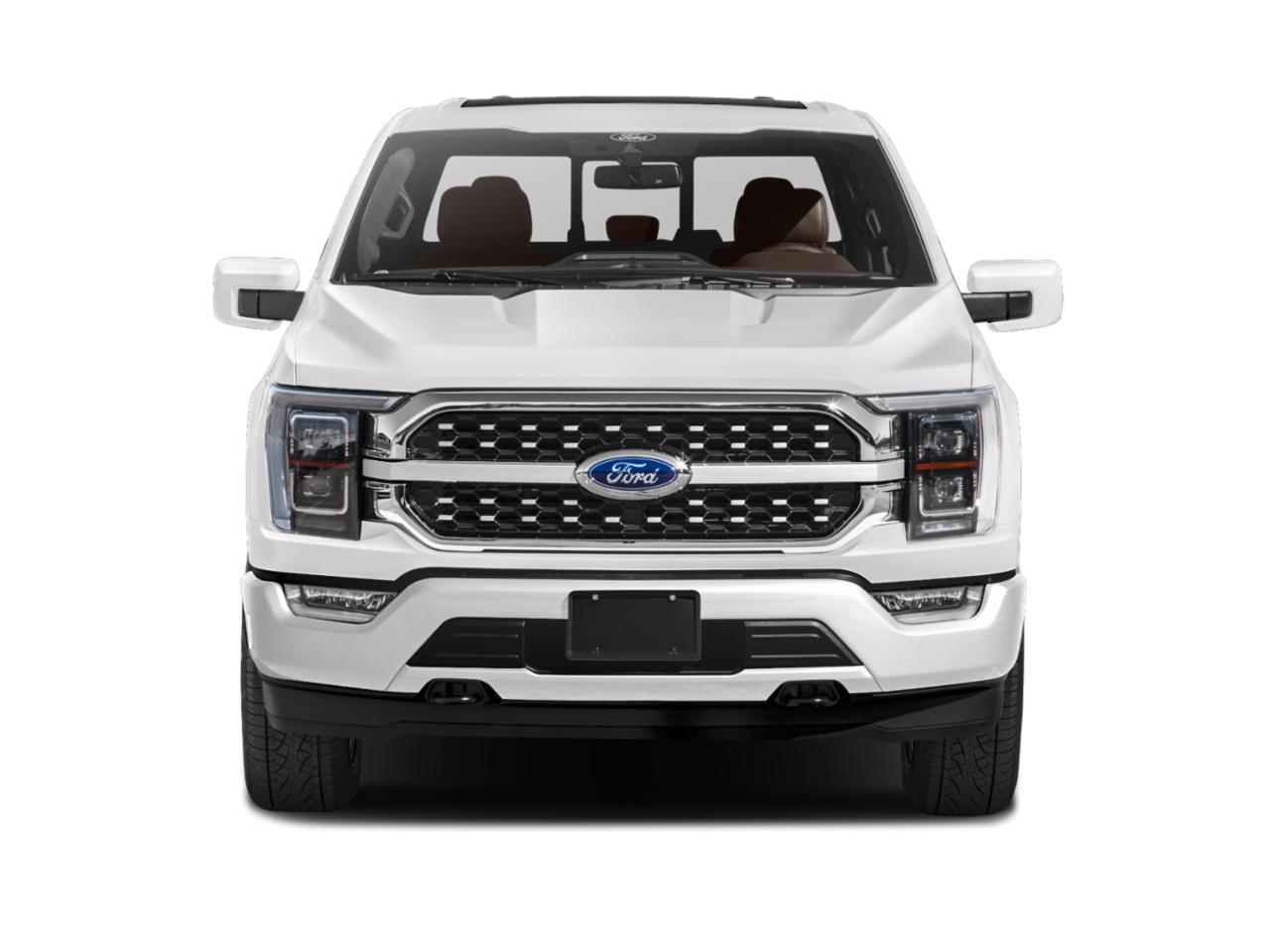 2022 Ford F-150 Vehicle Photo in Panama City, FL 32401