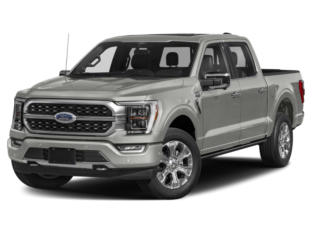 2022 Ford F-150 Vehicle Photo in SELMA, TX 78154-1459