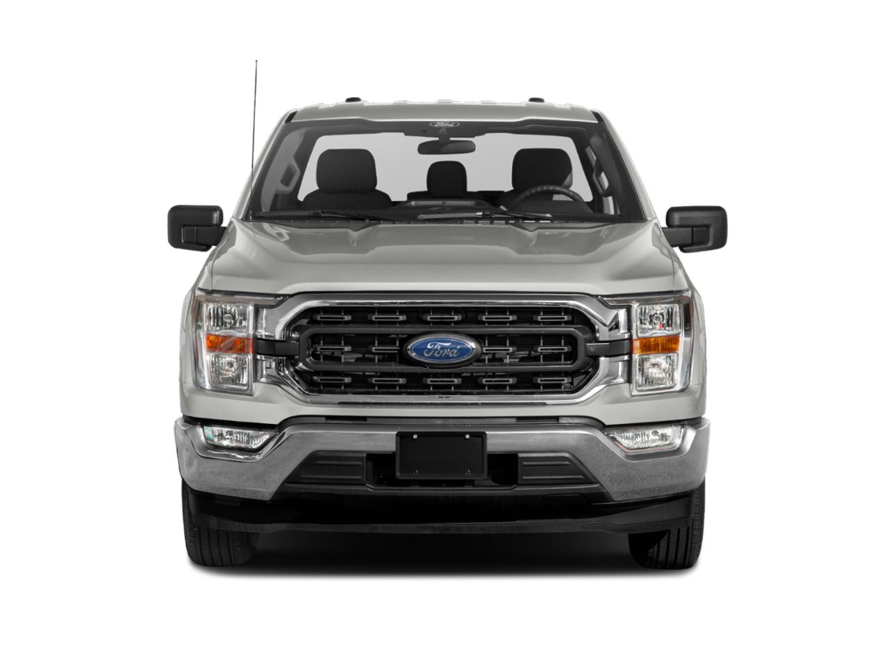 2022 Ford F-150 Vehicle Photo in Bradenton, FL 34207