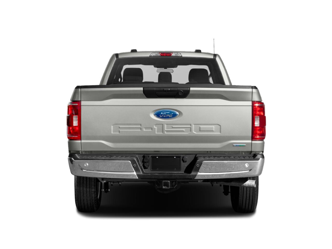 2022 Ford F-150 Vehicle Photo in Bradenton, FL 34207