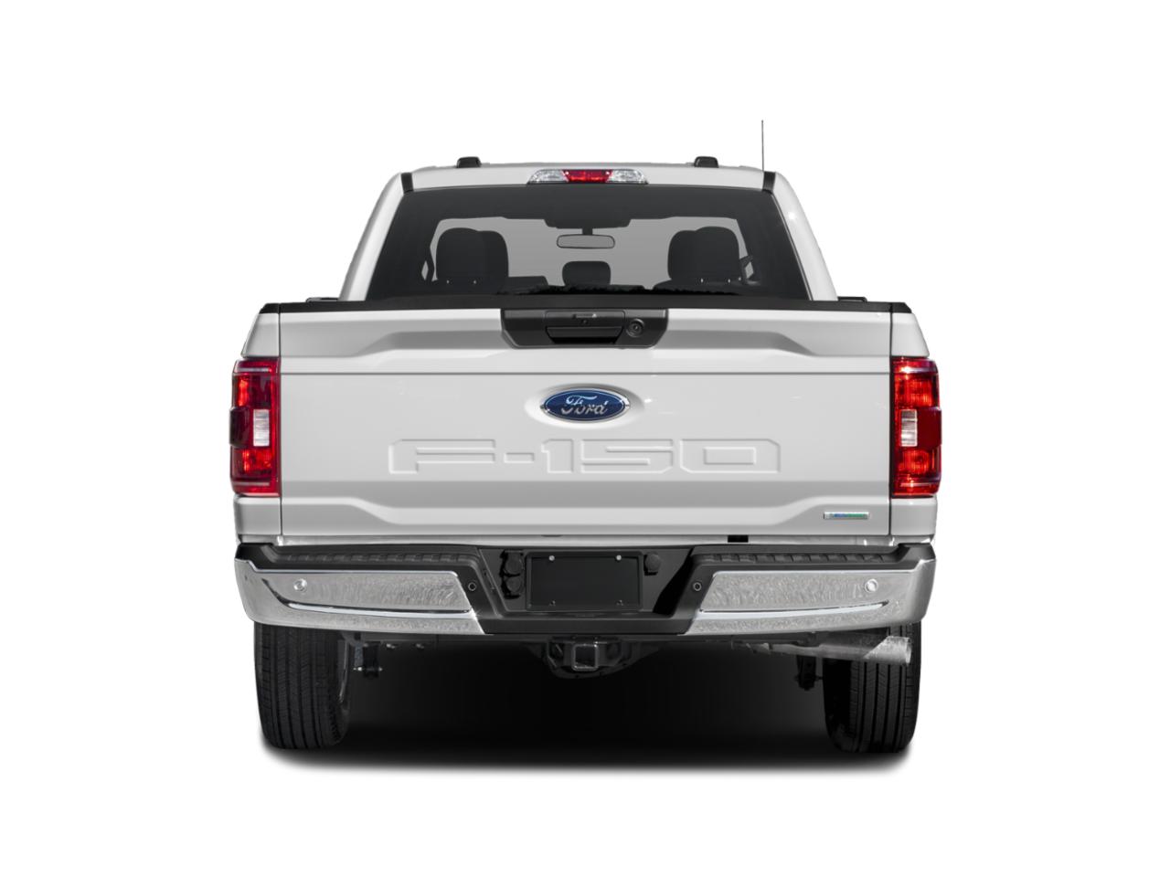 2022 Ford F-150 Vehicle Photo in St. Petersburg, FL 33713