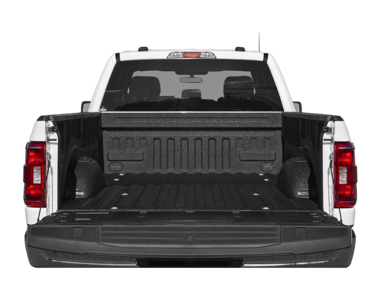 2022 Ford F-150 Vehicle Photo in St. Petersburg, FL 33713